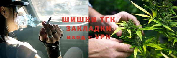 гидра Кукмор