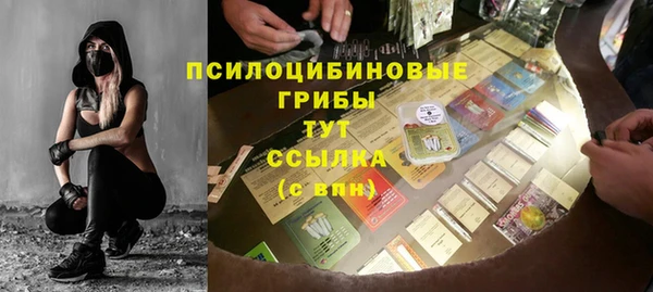 гидра Кукмор