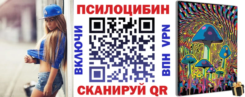 Купить где  Новоузенск  Псилоцибиновые грибы мицелий 
