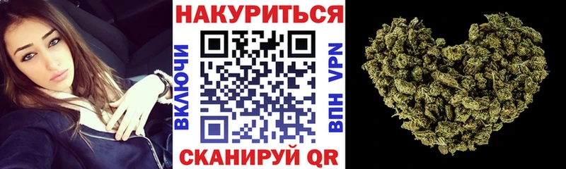 Купить закладки  Новоузенск  Конопля сатива 